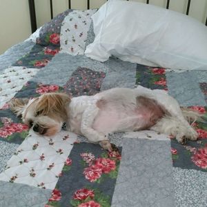 Meet your Posher, Jennifer Nolan